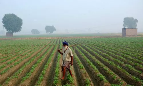 Haryana : अब किसानों को आधार कार्ड जैसी यूनिक डिजिटल पहचान मिलेगी Haryana : अब किसानों को आधार कार्ड जैसी यूनिक डिजिटल पहचान मिलेगी