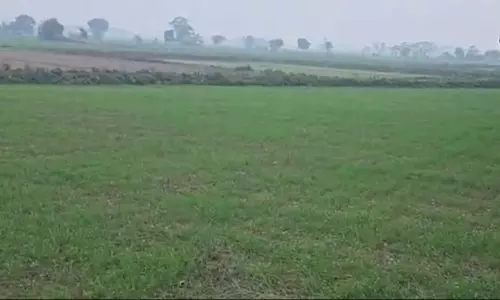 Gurdaspur:सूखी ठंड–प्रदूषण का डबल अटैक, स्वास्थ्य और खेती पर संकट