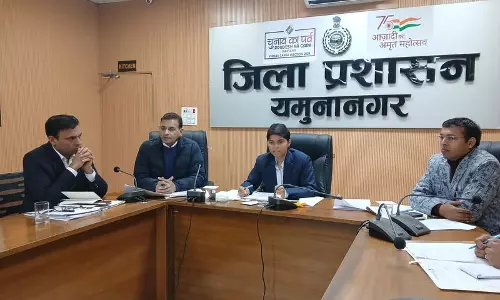 Yamunanagar के अधिकारियों को आवारा कुत्तों पर SC के आदेशों का सख्ती से पालन करने का निर्देश
