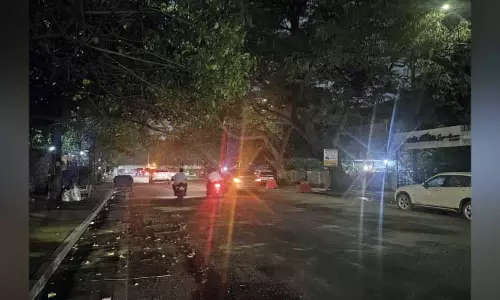 Chennai: स्टर्लिंग एवेन्यू पर स्ट्रीट लाइट को ब्लॉक कर रही टहनियों को हटाएं, मोटर चालकों से अपील Chennai: स्टर्लिंग एवेन्यू पर स्ट्रीट लाइट को ब्लॉक कर रही टहनियों को हटाएं, मोटर चालकों से अपील