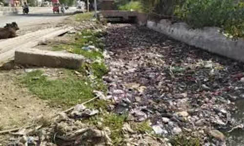 Bareilly: सड़क सफाई में लापरवाही पर कार्रवाई