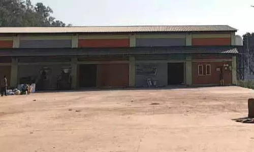 Kangra में धान की खरीद में गिरावट, 653 किसानों ने 7,159.68 मीट्रिक टन धान बेचा