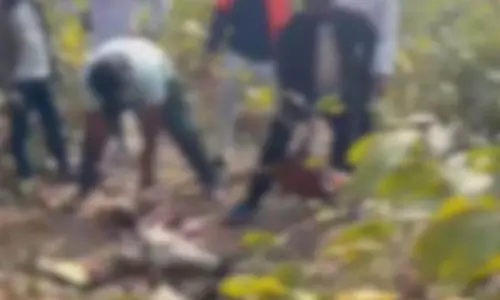 दरचूरा जंगल में 5–6 मवेशियों के कटे सिर-खाल मिले, दो आरोपी गिरफ्तार दरचूरा जंगल में 5–6 मवेशियों के कटे सिर-खाल मिले, दो आरोपी गिरफ्तार