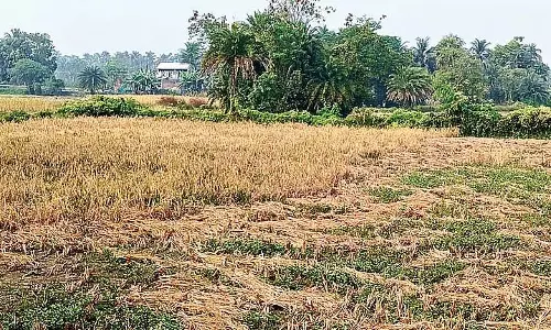 दूसरे जिलों से धान खरीदने के आरोपों को लेकर तनाव