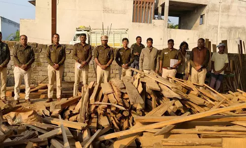 जगदम्बा फर्नीचर मार्ट पर वन विभाग की बड़ी कार्रवाई, 7.8 घन मीटर अवैध काष्ठ और फर्नीचर जब्त जगदम्बा फर्नीचर मार्ट पर वन विभाग की बड़ी कार्रवाई, 7.8 घन मीटर अवैध काष्ठ और फर्नीचर जब्त