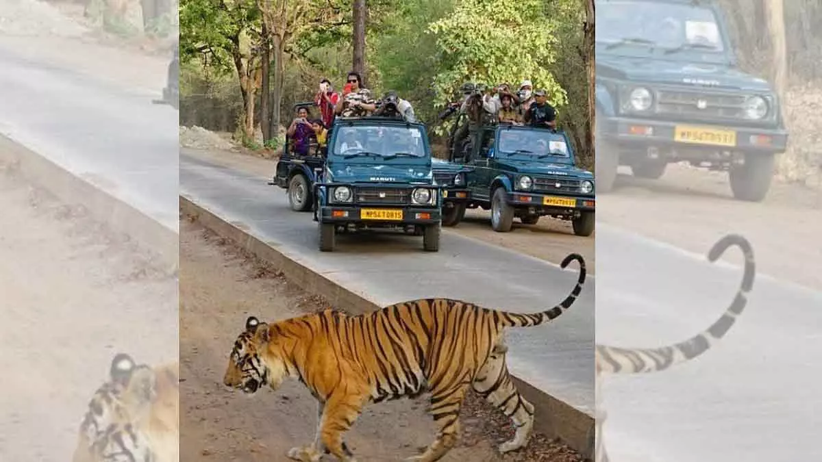 MP : क्रिसमस से नए साल तक MPSTDC के होटलों और रिसॉर्ट्स में 90% कमरे बुक हो गए MP : क्रिसमस से नए साल तक MPSTDC के होटलों और रिसॉर्ट्स में 90% कमरे बुक हो गए