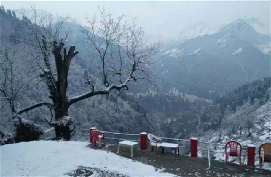 Himachal Weather: कोहरे का येलो अलर्ट Himachal Weather: कोहरे का येलो अलर्ट