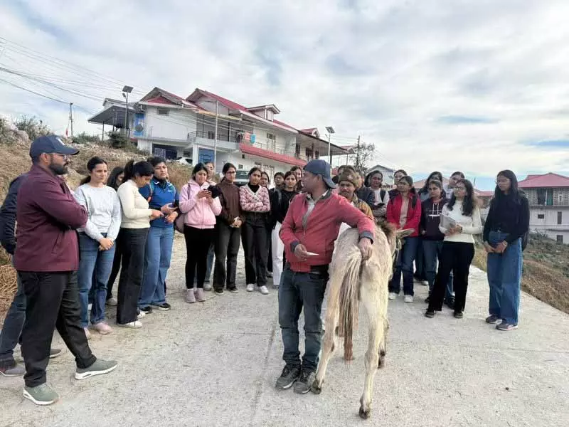 Himachal: एग्री-यूनिवर्सिटी के इंटर्न को घोड़ों के कल्याण और दयालुता से संभालने की ट्रेनिंग दी गई Himachal: एग्री-यूनिवर्सिटी के इंटर्न को घोड़ों के कल्याण और दयालुता से संभालने की ट्रेनिंग दी गई