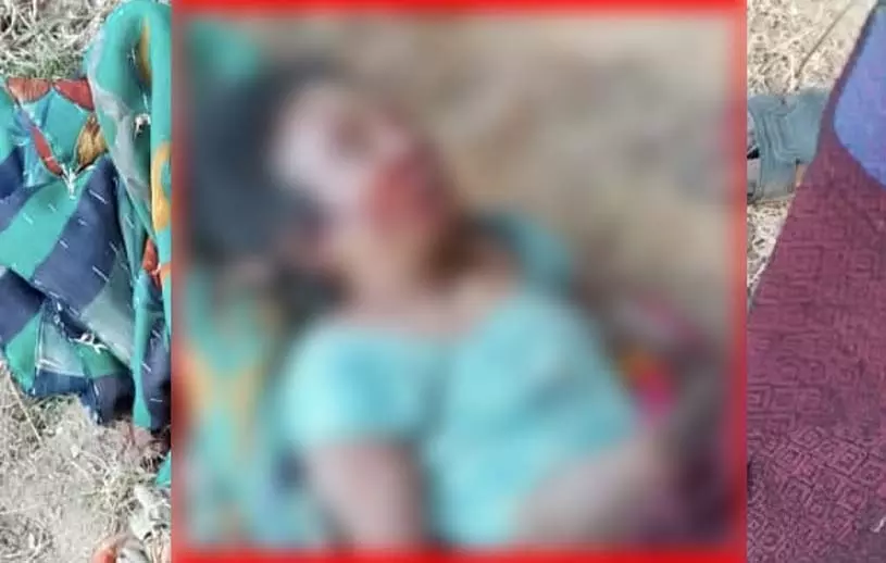 हाथी का कहर जारी: कटघोरा वन मंडल में महिला की मौत हाथी का कहर जारी: कटघोरा वन मंडल में महिला की मौत