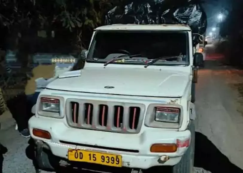 ओडिशा का 120 बोरी धान पकड़ाया, पिकअप चालक और कोचिया समेत 4 के खिलाफ FIR ओडिशा का 120 बोरी धान पकड़ाया, पिकअप चालक और कोचिया समेत 4 के खिलाफ FIR