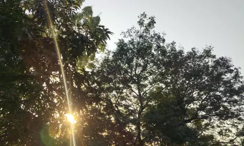 रायपुर में शीतलहर का प्रकोप बढ़ा, अमरकंटक में सबसे ज्यादा