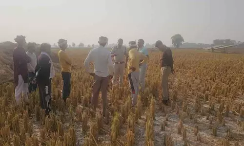 Sirsa में मिट्टी के पोषक तत्वों की कमी, किसानों की चिंता बढ़ी Sirsa में मिट्टी के पोषक तत्वों की कमी, किसानों की चिंता बढ़ी