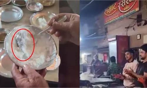 Ghazipur: ढाबा में हड़कंप, खाने के साथ दही में निकली भूरी चीज