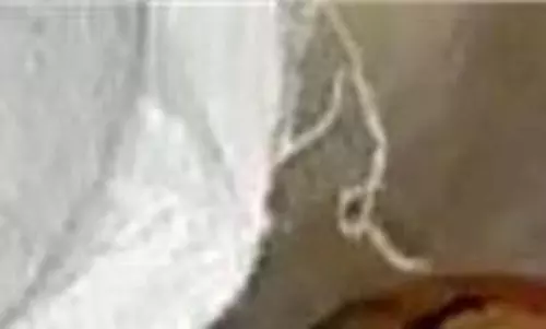 Jalandhar: चाइना डोर की अवैध बिक्री का भंडाफोड़