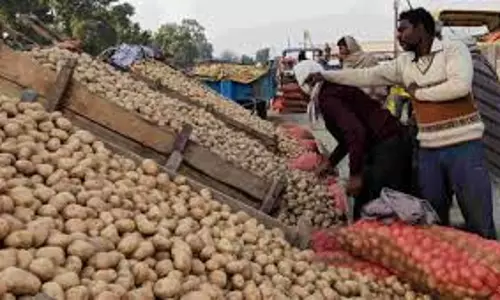 Farrukhabad: आलू की कीमतों में गिरावट, भविष्य को लेकर चिंता
