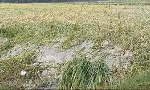 Lucknow: किसानों की उम्मीदों पर पानी, बीमा योजना में गड़बड़ी