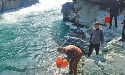एक सदी बाद Kashmir लौटा ब्राउन ट्राउट