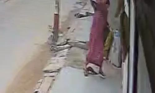 Farrukhabad: बौखलाए नेवले ने महिला को दौड़ा-दौड़ा कर काटा