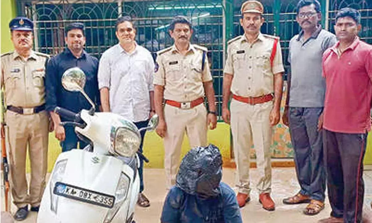 Andhra: 6 लाल चंदन की लकड़ियाँ ज़ब्त की गईं Andhra: 6 लाल चंदन की लकड़ियाँ ज़ब्त की गईं