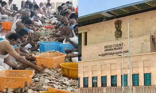 AP हाई कोर्ट ने परकामनी की गणना के संबंध में टीटीडी को अहम आदेश दिए AP हाई कोर्ट ने परकामनी की गणना के संबंध में टीटीडी को अहम आदेश दिए