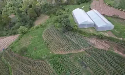 Himachal: सूखे के दौरान फसलों को बनाए रखने के लिए मिट्टी की नमी का संरक्षण महत्वपूर्ण है Himachal: सूखे के दौरान फसलों को बनाए रखने के लिए मिट्टी की नमी का संरक्षण महत्वपूर्ण है