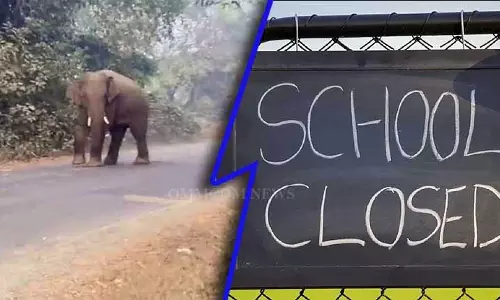 जंगली हाथी का आतंक, Balasore के खैरा ब्लॉक में 10 स्कूल बंद