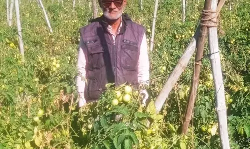 तकनीक सहयोग और मेहनत से बदली खेती की तस्वीर तकनीक सहयोग और मेहनत से बदली खेती की तस्वीर