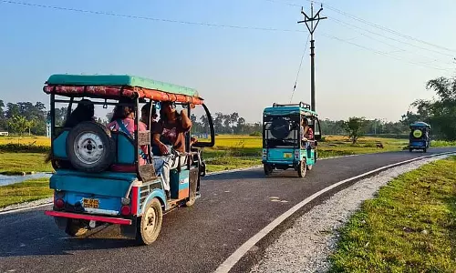 मोरों की धरती पर Toto पर सर्दियों की गश्त