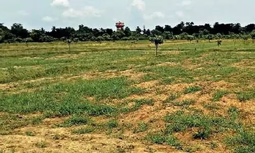 school की ज़मीन पर सरकारी इमारतों के निर्माण के आरोप