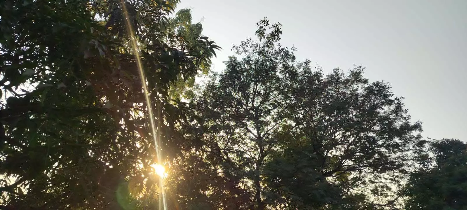 रायपुर में शीतलहर का प्रकोप बढ़ा, अमरकंटक में सबसे ज्यादा रायपुर में शीतलहर का प्रकोप बढ़ा, अमरकंटक में सबसे ज्यादा