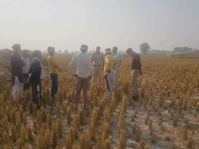 Sirsa में मिट्टी के पोषक तत्वों की कमी, किसानों की चिंता बढ़ी Sirsa में मिट्टी के पोषक तत्वों की कमी, किसानों की चिंता बढ़ी