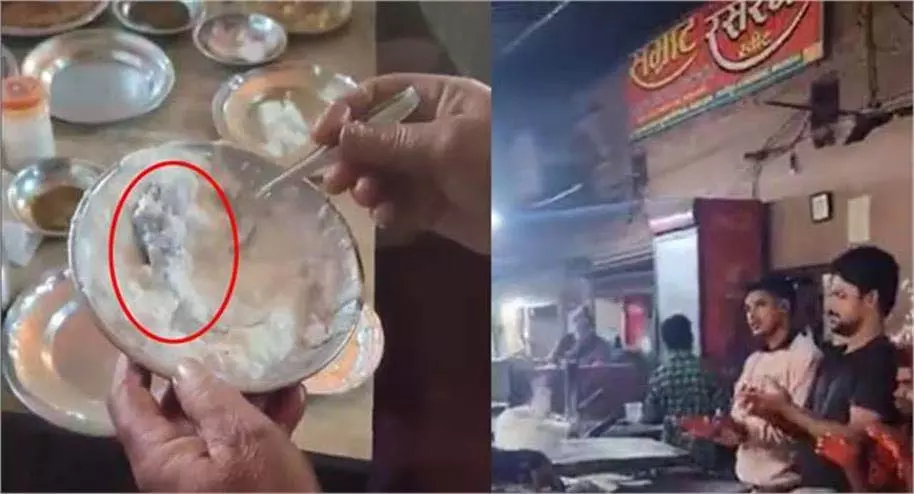 Ghazipur: ढाबा में हड़कंप, खाने के साथ दही में निकली भूरी चीज Ghazipur: ढाबा में हड़कंप, खाने के साथ दही में निकली भूरी चीज