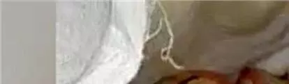 Jalandhar: चाइना डोर की अवैध बिक्री का भंडाफोड़ Jalandhar: चाइना डोर की अवैध बिक्री का भंडाफोड़