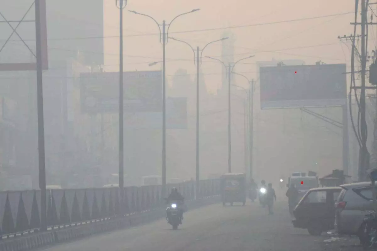 Jharkhand Weather: सफेद चादर से ढका पूरा इलाका कोहरे की Jharkhand Weather: सफेद चादर से ढका पूरा इलाका कोहरे की