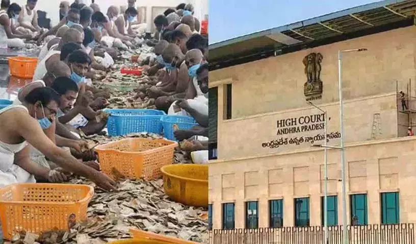 AP हाई कोर्ट ने परकामनी की गणना के संबंध में टीटीडी को अहम आदेश दिए AP हाई कोर्ट ने परकामनी की गणना के संबंध में टीटीडी को अहम आदेश दिए