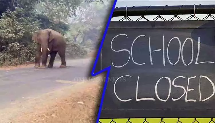 जंगली हाथी का आतंक, Balasore के खैरा ब्लॉक में 10 स्कूल बंद जंगली हाथी का आतंक, Balasore के खैरा ब्लॉक में 10 स्कूल बंद