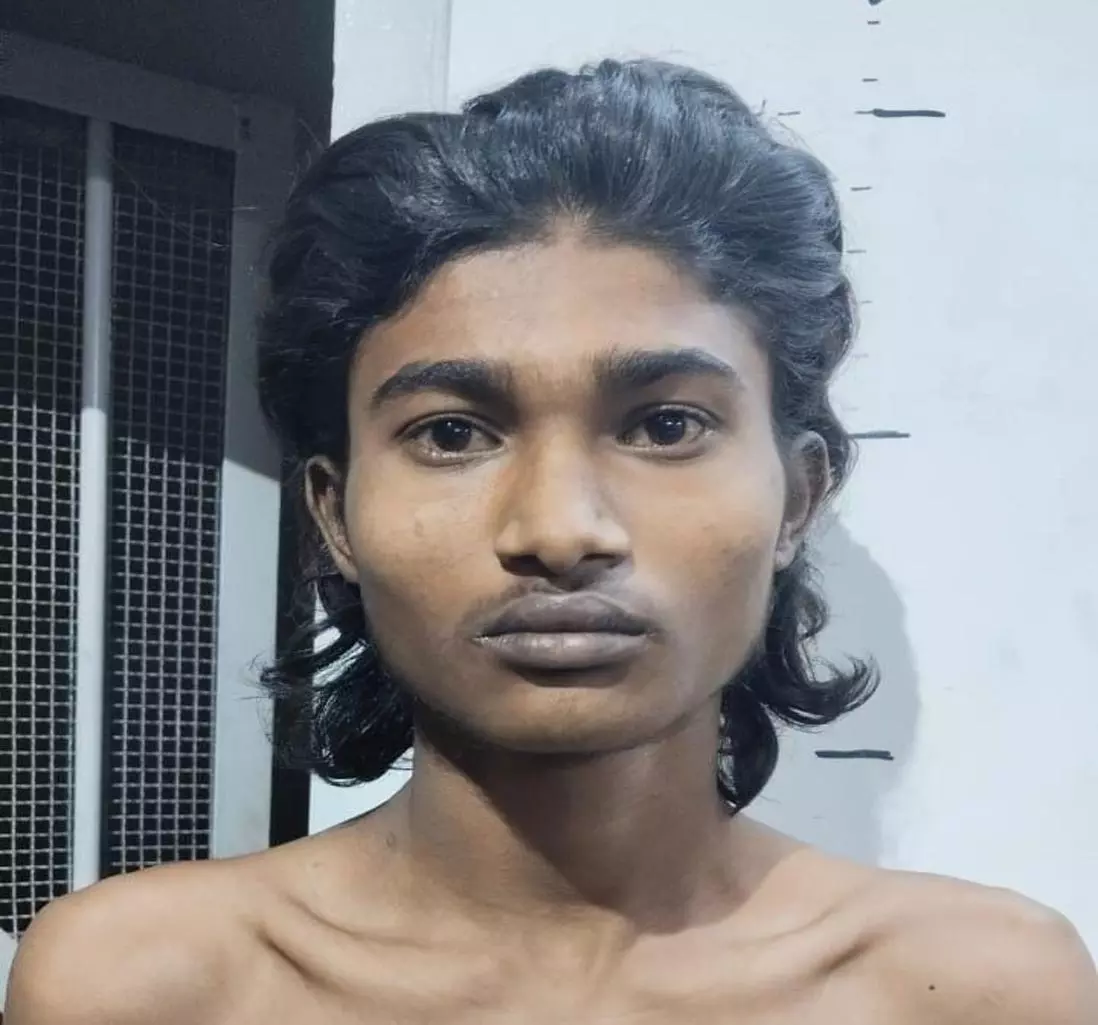 Raipur Breaking: गोडाउन से फैंसी लाइट चोरी का खुलासा, नाबालिग सहित 3 आरोपी गिरफ्तार Raipur Breaking: गोडाउन से फैंसी लाइट चोरी का खुलासा, नाबालिग सहित 3 आरोपी गिरफ्तार