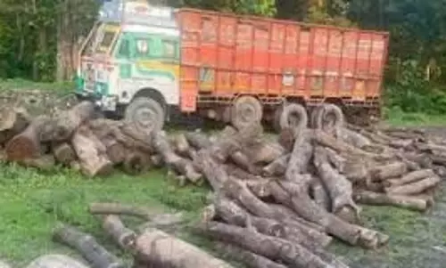 Bihar  : लकड़ी तस्करी रोकने गई वन टीम पर हमला