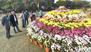 Chandigarh में 38वां गुलदाउदी शो शुरू हुआ