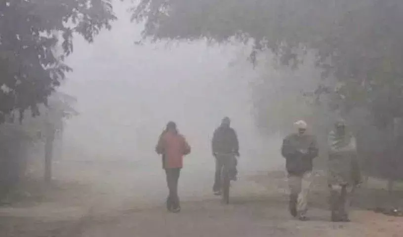 Telangana में अगले दो दिनों तक शीतलहर जारी रहेगी: आईएमडी