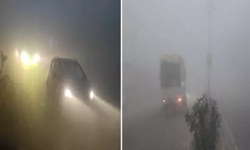 Punjab : पर्वतीय बर्फबारी से मैदानी इलाकों में कोहरे का कहर