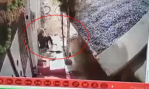 OMG! बुजुर्ग की दर्दनाक मौत, डंपर पलटने का LIVE वीडियो सामने आया