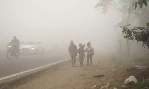 Punjab और हरियाणा में घना कोहरा छाया, होशियारपुर में तापमान 4.8°C रहा। Punjab और हरियाणा में घना कोहरा छाया, होशियारपुर में तापमान 4.8°C रहा।