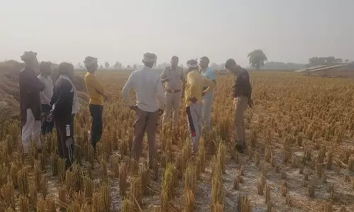 Sirsa में मिट्टी के पोषक तत्वों में कमी आई है, जिससे किसानों के लिए चिंता बढ़ गई