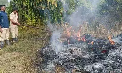बालासोर में 11KV तार टूटने से लगी आग में पांच एकड़ धान की फसल जलकर राख हो गई