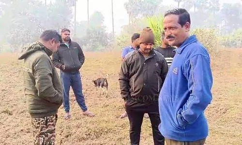 Dhenkanal में हाथी का बच्चा मृत मिला, बिजली का झटका लगने का शक