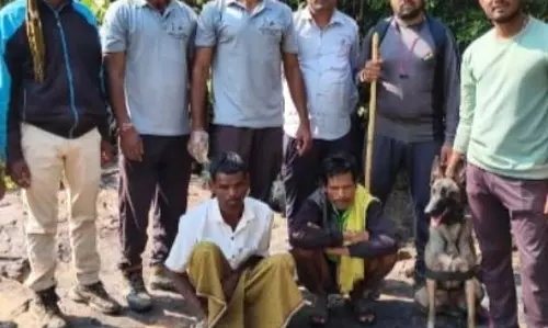 सांभर को मारने वाले 12 शिकारी गिरफ्तार, फरार आरोपियों की तलाश जारी