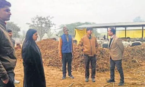 Bareilly: एडीएम ने गोशालाओं में सुधार के दिए आदेश Bareilly: एडीएम ने गोशालाओं में सुधार के दिए आदेश