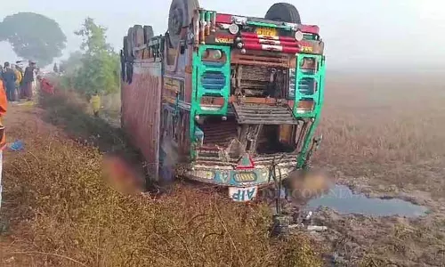 Koraput में कैंटर पलटने से 50 मवेशियों की मौत Koraput में कैंटर पलटने से 50 मवेशियों की मौत