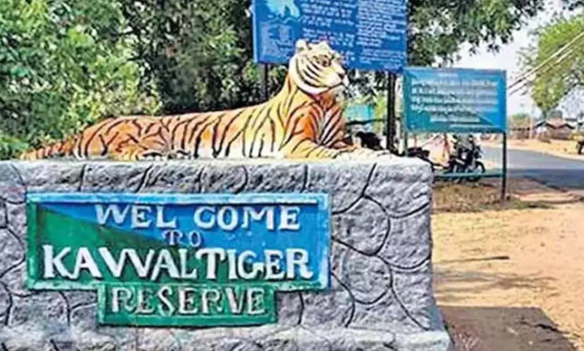 government ने कवाल टाइगर रिज़र्व में इंदिराम्मा घरों पर वन विभाग की पाबंदियों का संज्ञान लिया government ने कवाल टाइगर रिज़र्व में इंदिराम्मा घरों पर वन विभाग की पाबंदियों का संज्ञान लिया